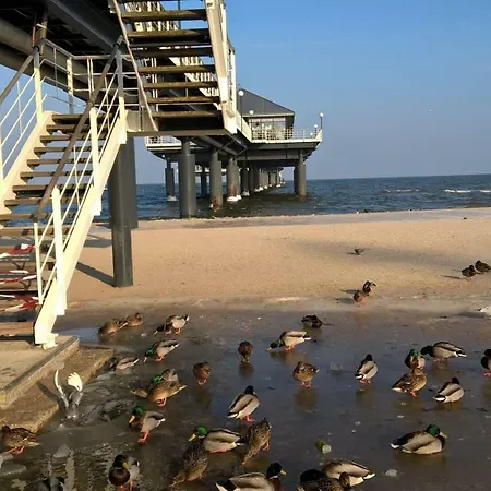 Seeland * Heringsdorf (Usedom)